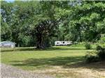 Beautiful grassy space at Creekside Campground - thumbnail