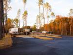 View larger image of RVs parked on-site on sunny day at THE PINES RV  CABIN RESORT image #1