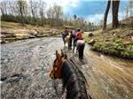 Group of people riding horses thru the river at TRYON INTERNATIONAL RV RESORT - thumbnail