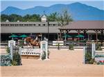 A young lady running her show jump at TRYON INTERNATIONAL RV RESORT - thumbnail
