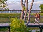 Two men walking over a bridge at BUDA PLACE RV RESORT - thumbnail