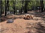 Large camping area with picnic table and fire pit at PARADISE PINES RV PARK AND CAMPGROUND - thumbnail