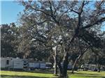 RV sites with tall trees surrounding at SUGAR VALLEY RV RESORT BY RJOURNEY - thumbnail