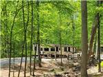 An RV site surrounded by tall trees at JAMES CREEK RV RESORT BY RJOURNEY - thumbnail