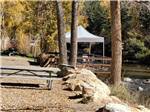 View larger image of RVs parked near private cabin at OUTPOST MOTEL CABINS AND RV PARK image #8