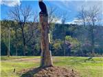 A wooden sculpture of an eagle on a tall tree stump at BULL CREEK RV PARK - thumbnail