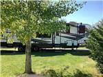A fifth wheel trailer in a grassy RV site at WHITE KNOB MOTEL & RV PARK - thumbnail