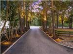Road leading between trees and fence at MAJESTIC PINES RV RESORT - thumbnail