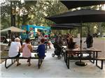 Group of people sitting at picnic tables at MAJESTIC PINES RV RESORT - thumbnail