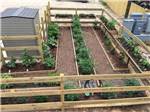 Aerial view of garden at MAJESTIC PINES RV RESORT - thumbnail
