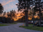 RV sites at sunset at Fundy Woods Campground & Cottages - thumbnail