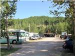 A gravel road by the RV sites at FRENCH CREEK RV PARK AND CAMPGROUND - thumbnail