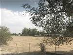 A brown field behind a fence at CENTER POINT RV PARK - thumbnail