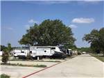 View larger image of Large trees over campsites at PHEASANT VALLEY RV PARK image #12