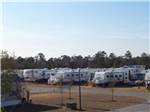 Row of trailers in campsites at TOPSAIL SOUND RV PARK - thumbnail
