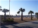 View of park models and palm trees from road at TOPSAIL SOUND RV PARK - thumbnail