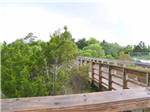 Raised walkway with railings passing through crowns of tall trees at TOPSAIL SOUND RV PARK - thumbnail