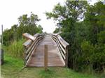 Raised walkway leading into leafy trees at TOPSAIL SOUND RV PARK - thumbnail
