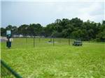 The fenced in pet area at THE HILL TOP AT BRENHAM RV RESORT - thumbnail