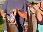 A couple of people holding fish at CONKLIN LANDING RV PARK - thumbnail