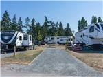 View larger image of Two travel trailers parked next to an empty site at PACIFIC PALMS RV RESORT image #11