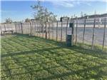 The green fenced in pet area at YELLOW ROSE RV RESORT - thumbnail