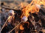 Roasting marshmallows at KLAMATH FALLS RV RESORT BY RJOURNEY - thumbnail