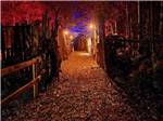 The entrance to Haunted Hill at RINGLER FAMILY CAMPGROUND - thumbnail
