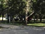 Shady RV site - thumbnail
