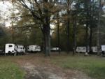 Parked trailers at site Butternut Grove Campsites - thumbnail