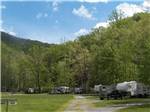 RVs parked at sites under tress - thumbnail