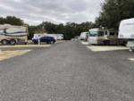 RV sites and mature trees at Central Texas RV Park - thumbnail