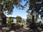 Swing under the trees at Chinook Cabins & RV Park - thumbnail