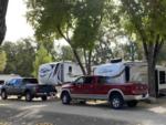 Parked RV's at site Clear Lake Campground - thumbnail