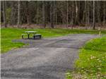 A empty gravel site with a picnic bench at RURAL HILL FARM - thumbnail