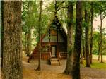 A small chalet rental in the woods at RURAL HILL FARM - thumbnail