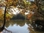 Pond and fall trees at RV Texoma - thumbnail