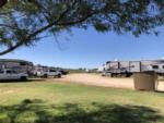 View of RVs from shade tree at Sand Creek RV Park - thumbnail