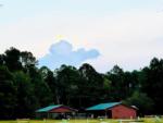 Red barns, green roofs at Sandy Ridge Campground and RV Resort - thumbnail