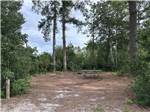 A site with a picnic table - thumbnail