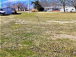 Grass site at Sidetrack RV Park - thumbnail