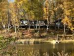 Cabins under the trees - thumbnail