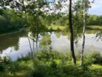 Lake with trees - thumbnail