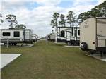 RVs parked back to back in concrete sites at ROYAL OAKS RV PARK - thumbnail