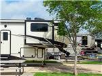 A row of fifth wheel trailers in paved sites at JETSTREAM RV RESORT AT WHARTON - thumbnail
