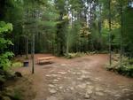Large site among trees at JoeIda Campground - thumbnail