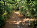 Walk way at site JoeIda Campground - thumbnail