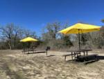 Covered picnic area - thumbnail