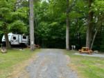 Large RV sites under the trees - thumbnail