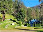 A blue house surrounded by trees - thumbnail